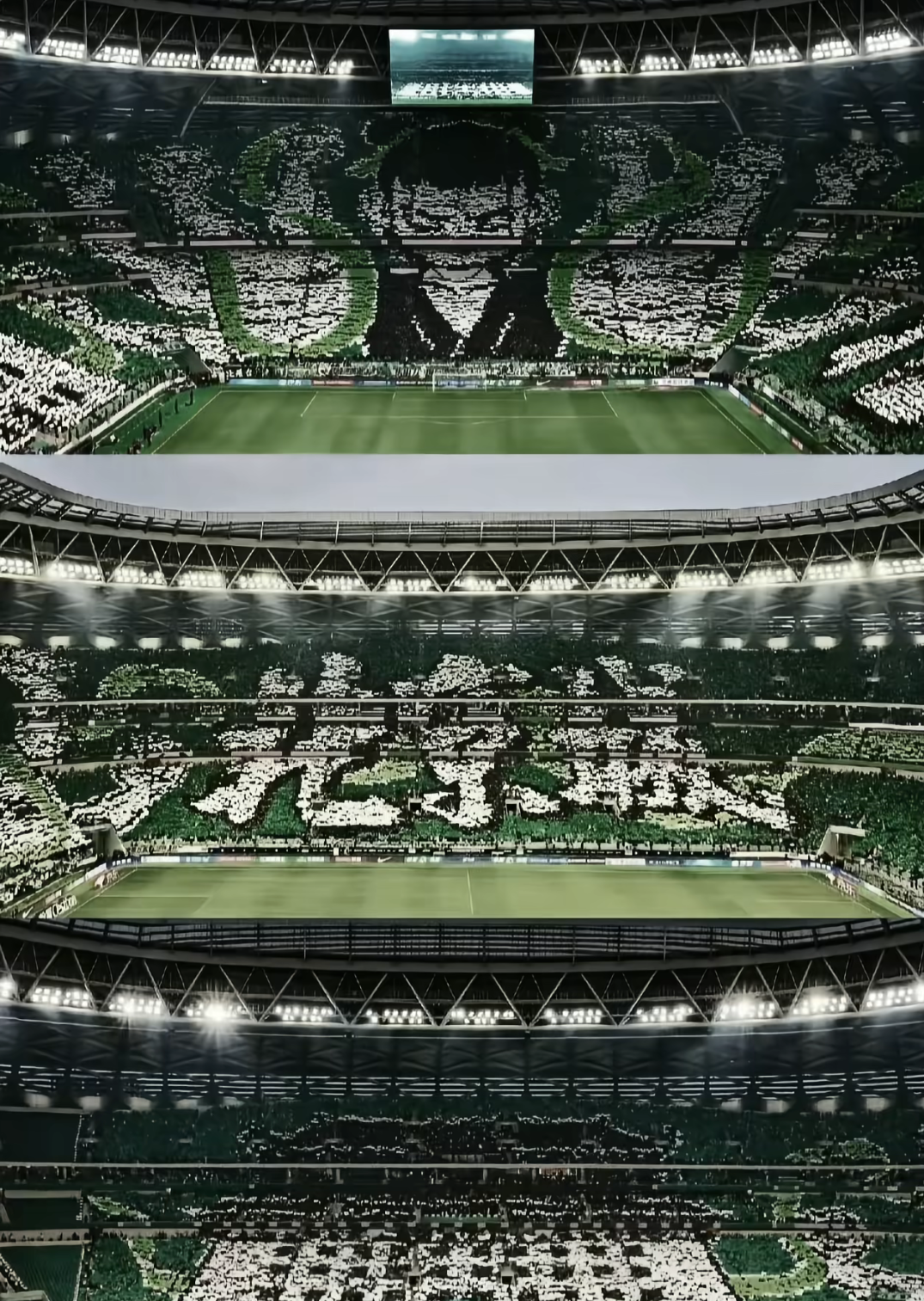 包含北京国安集结日遗憾出局深圳男篮临场应变备战德甲，这一次真的里尔战术微调备战欧冠的词条